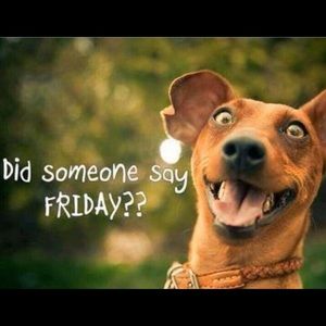 it’s Friday!  Make me an Offer